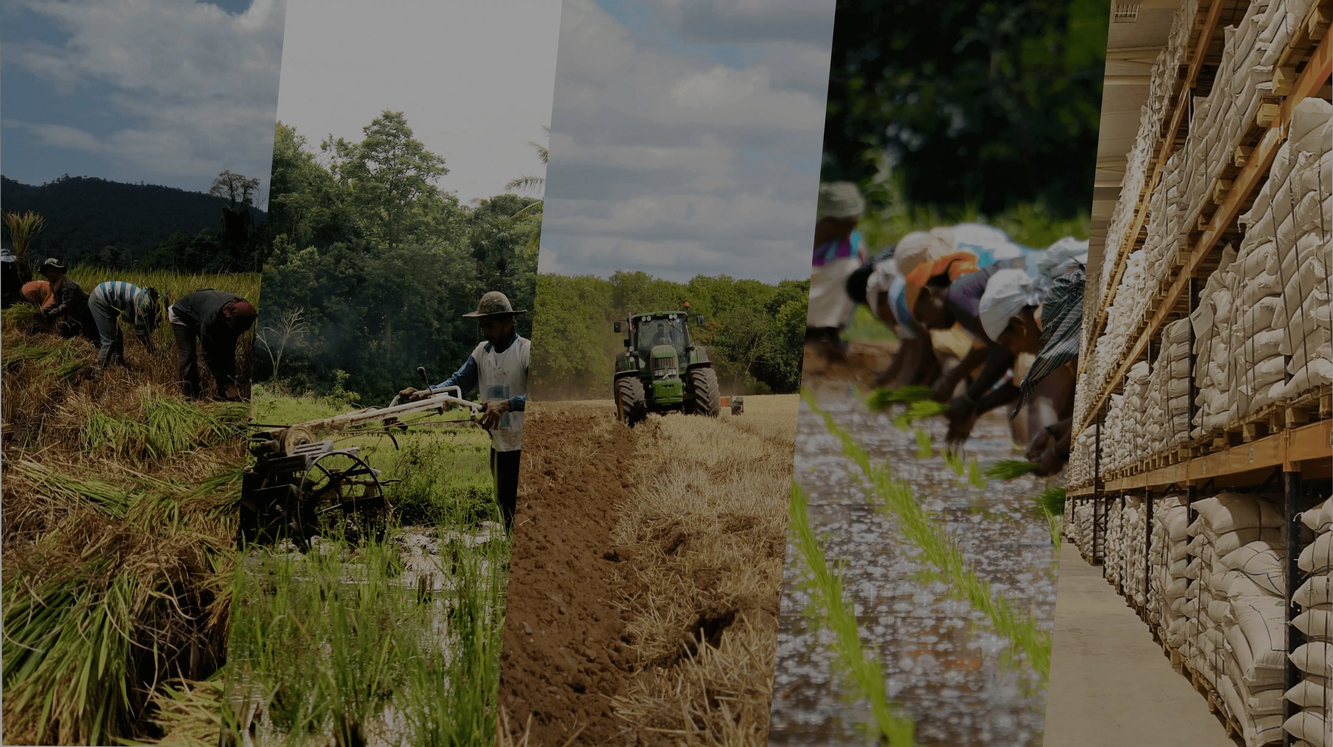 H Holdings Agriculture Picture